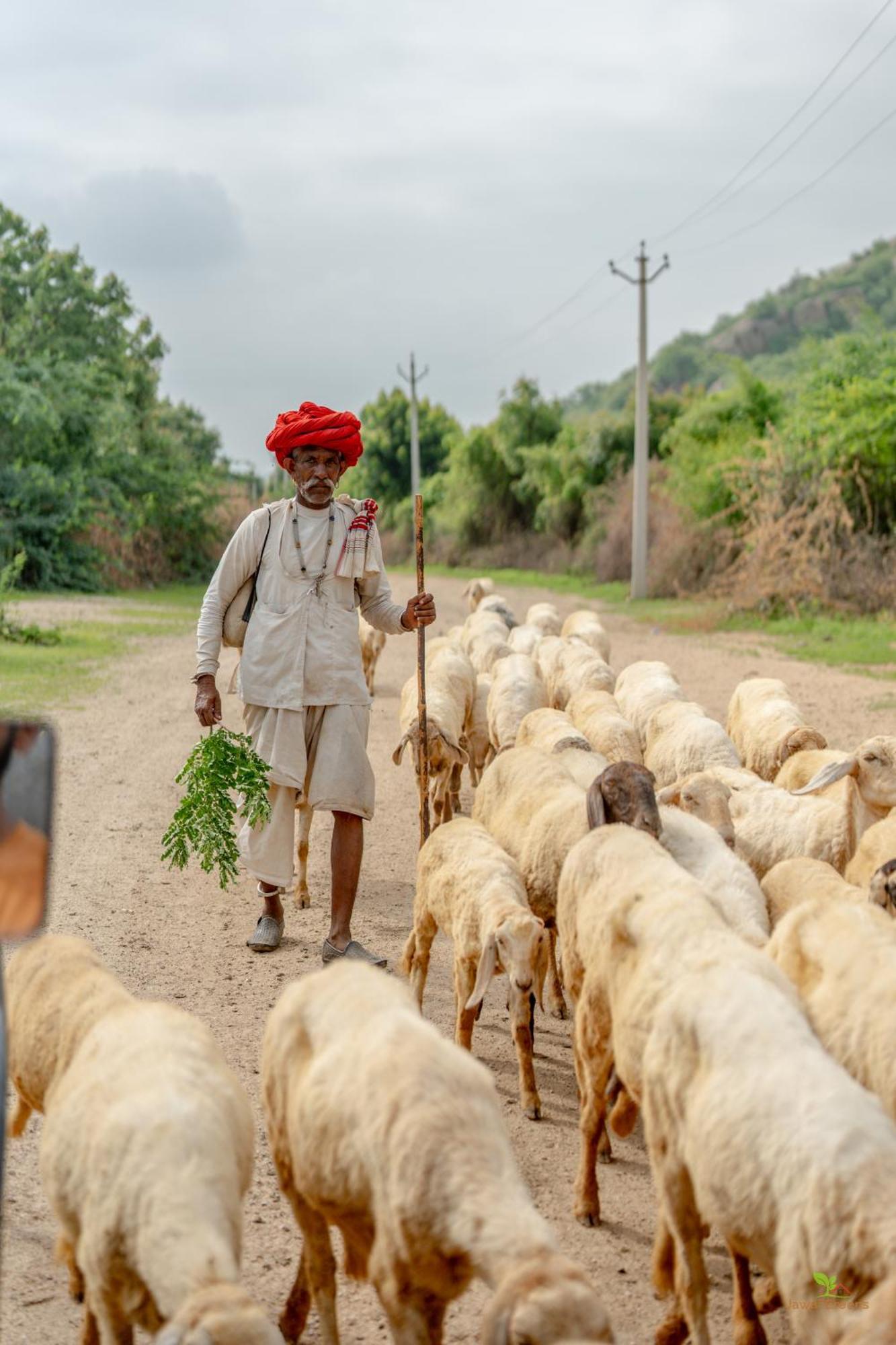 Jawai Greens Jawai Bandh Exterior foto