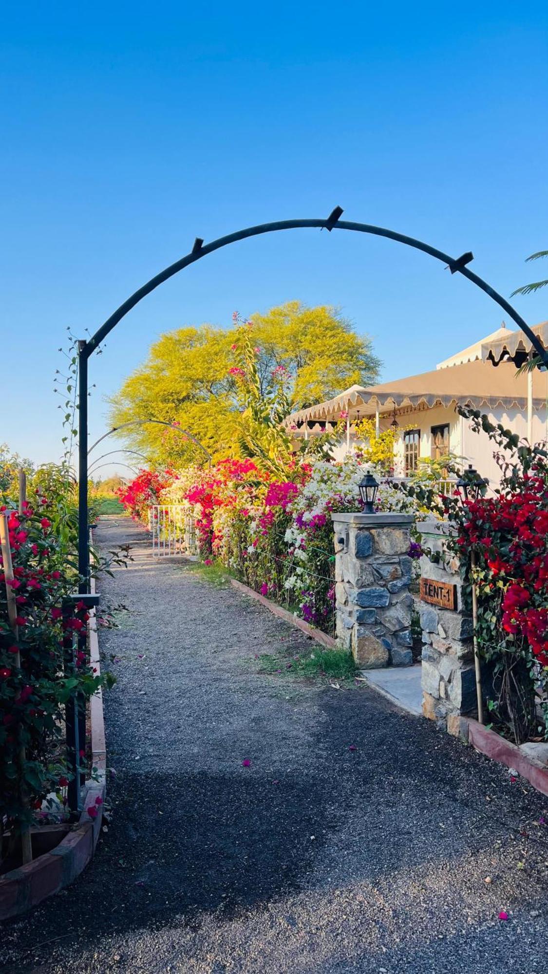 Jawai Greens Jawai Bandh Exterior foto